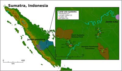 How Rainforest Conversion to Agricultural Systems in Sumatra (Indonesia) Affects Active Soil Bacterial Communities